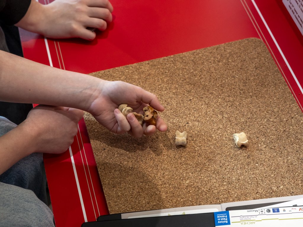 Illustration principale © Jean-Yves Lacôte / CA Roissy Pays de France